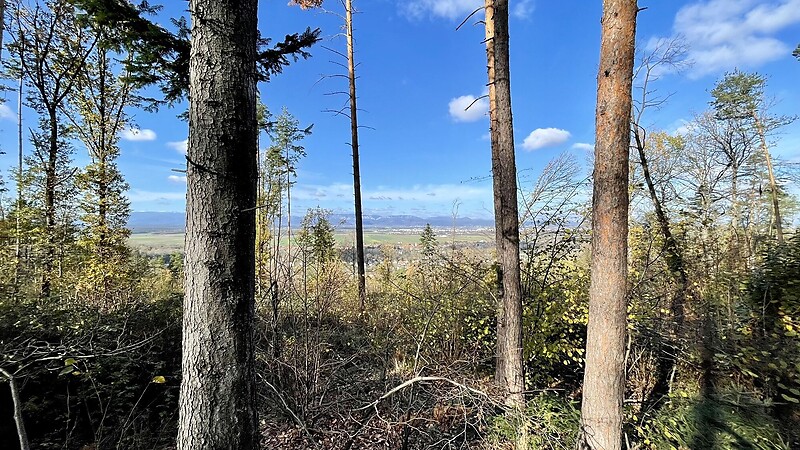 Zemljevid