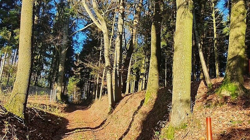 Zemljevid