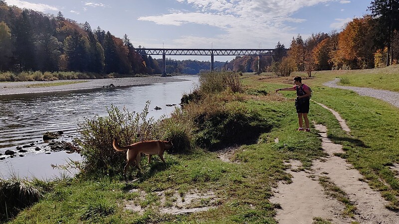 Zemljevid