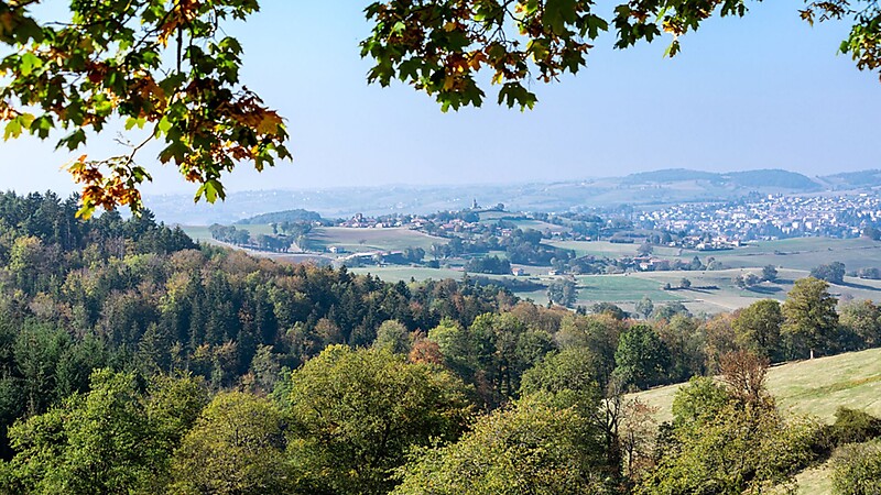 Zemljevid