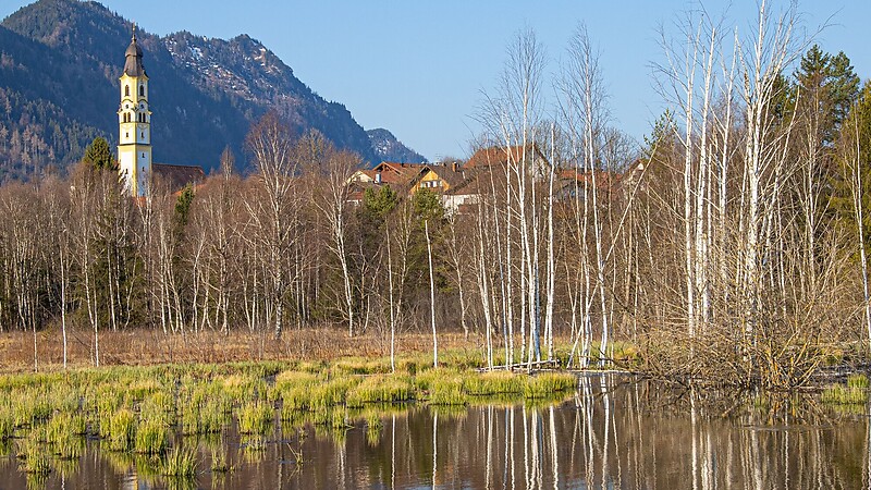 Zemljevid
