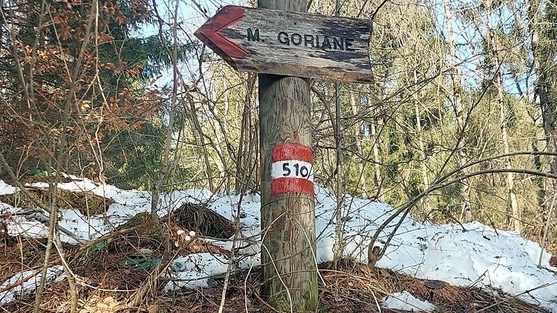 Zemljevid