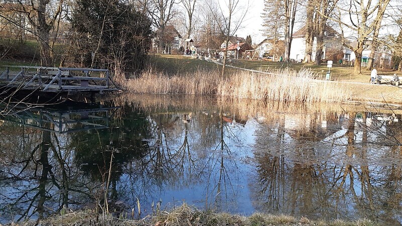 Zemljevid