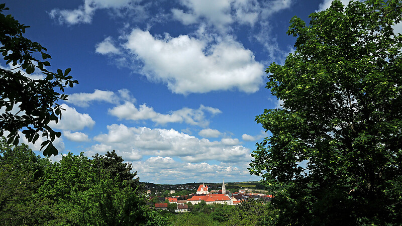 Zemljevid