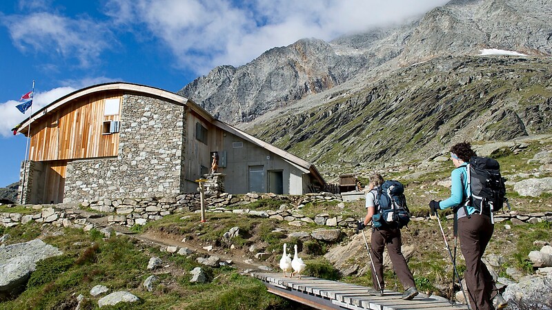 Zemljevid