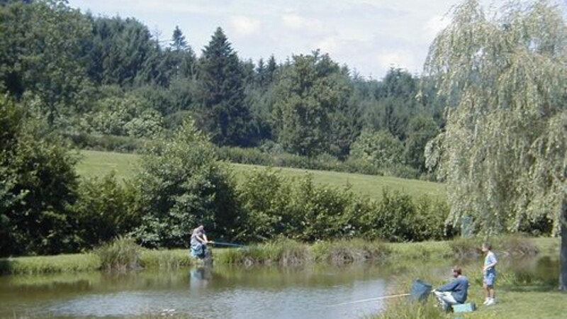 Zemljevid