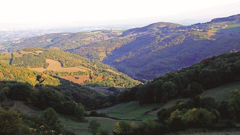Zemljevid