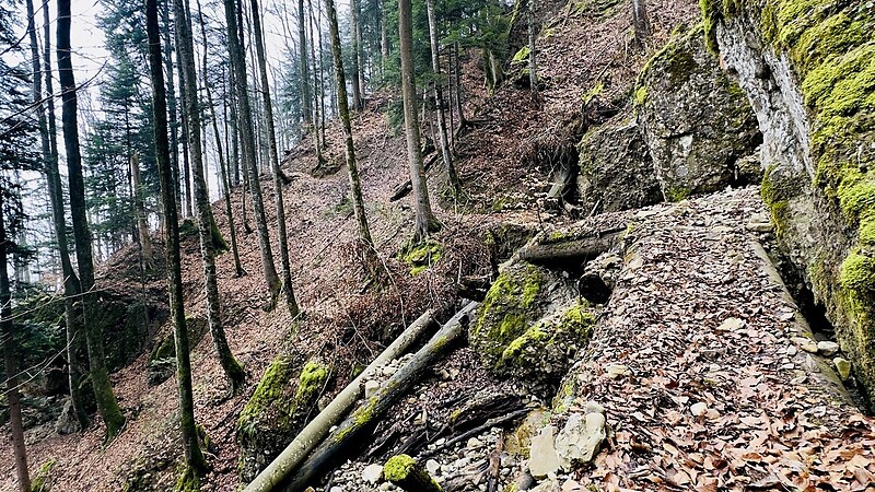 Zemljevid