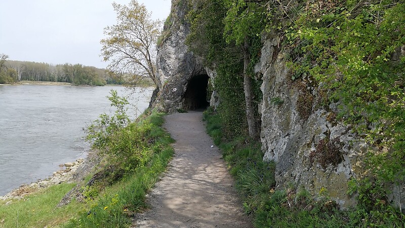 Zemljevid