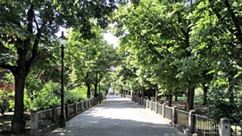 Zemljevid