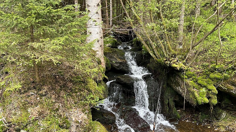Zemljevid