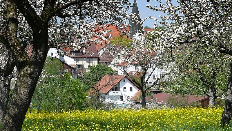Zemljevid