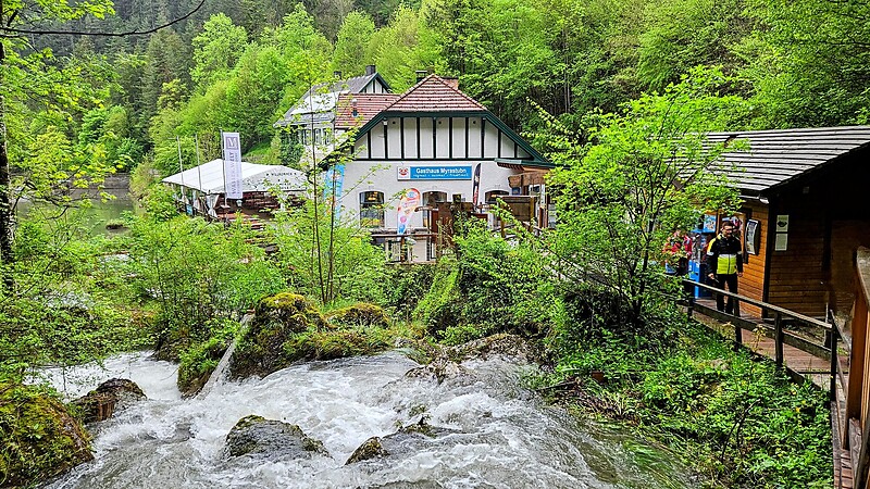 Zemljevid