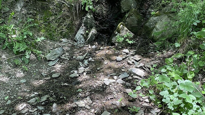 Zemljevid