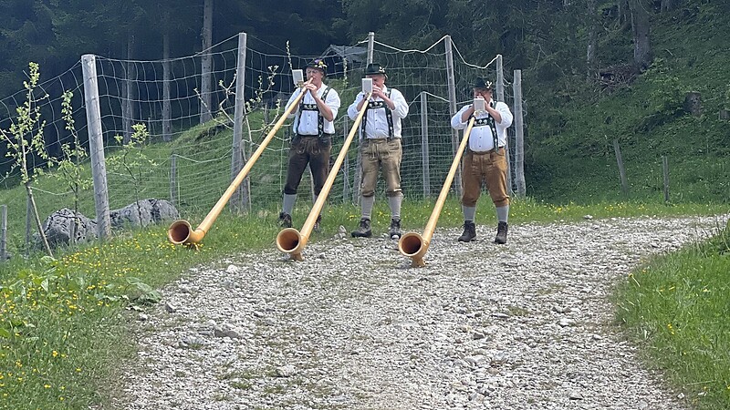 Zemljevid