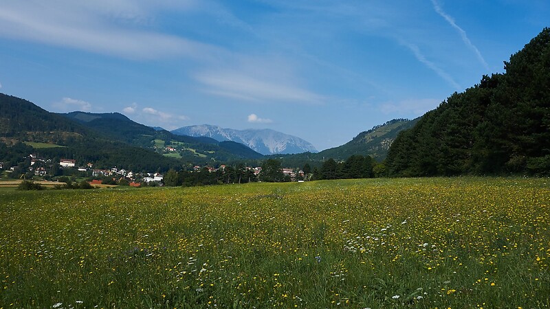 Zemljevid