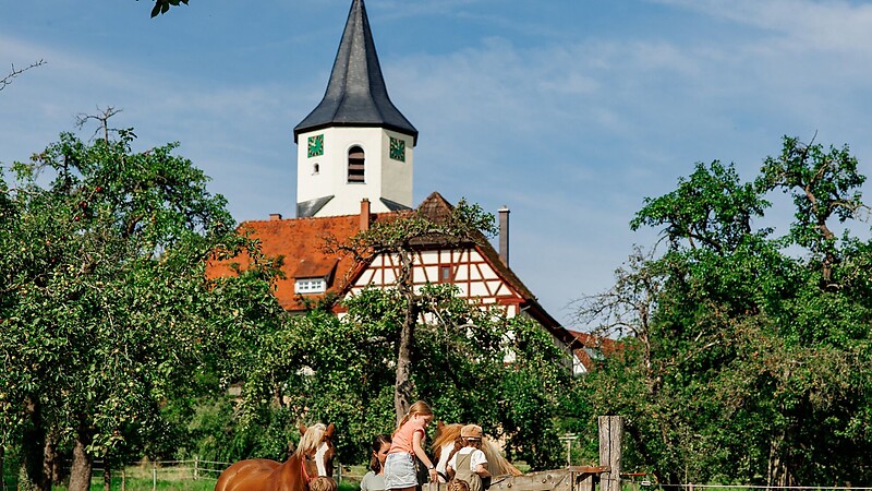 Zemljevid