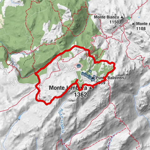 Tèmpiu/Tempio Pausania - Monte Limbara - Punta Gjucantinu - Vallicciola