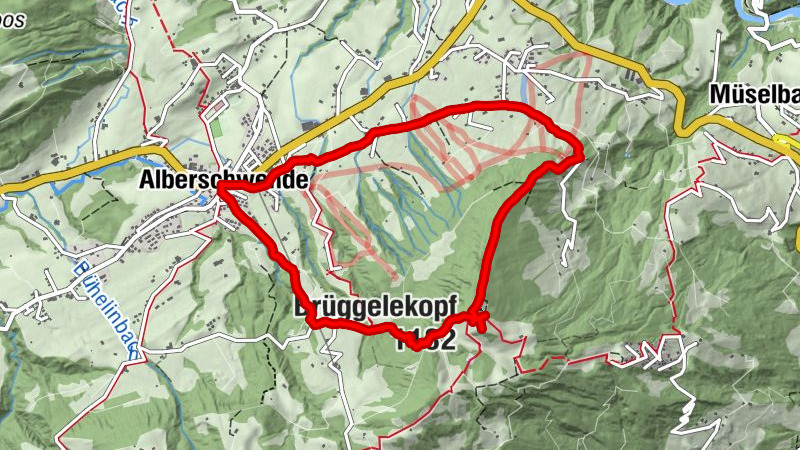 Zemljevid