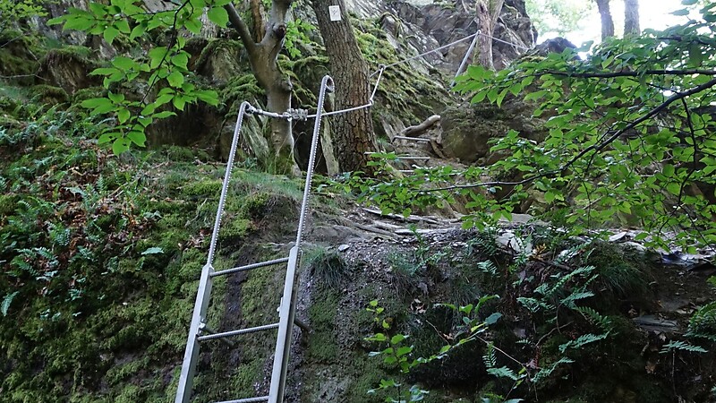 Zemljevid