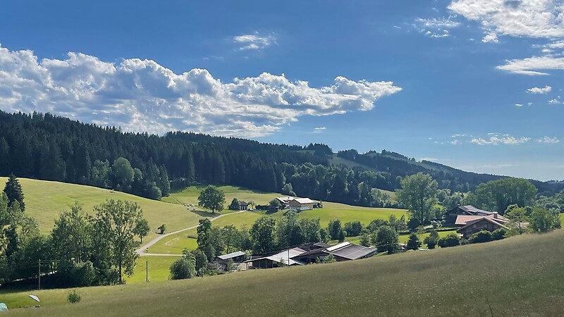 Zemljevid