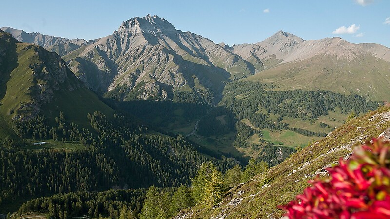 Zemljevid