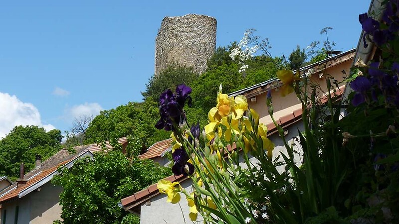 Zemljevid