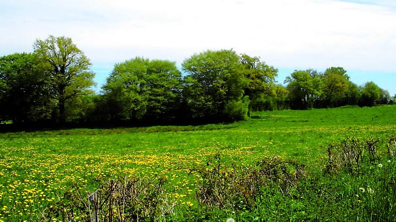 Zemljevid