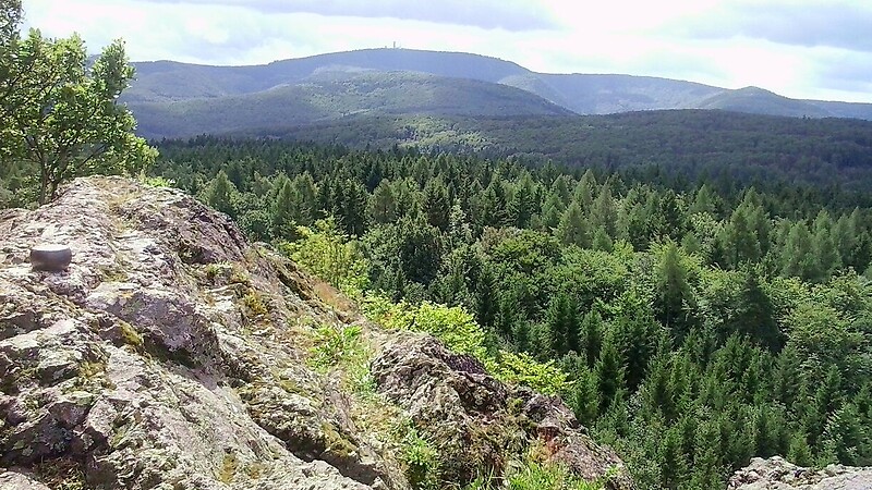 Zemljevid