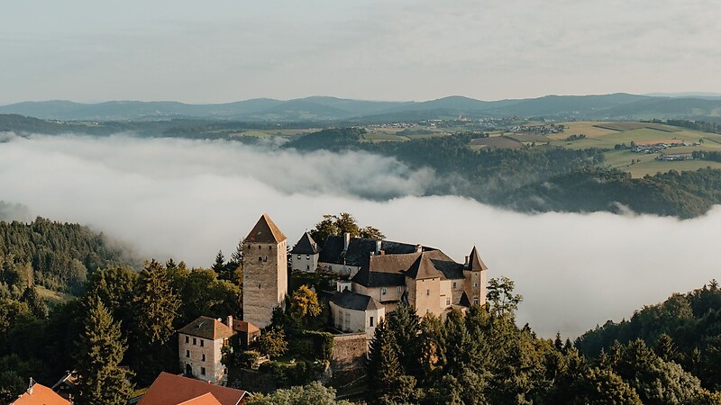 Zemljevid