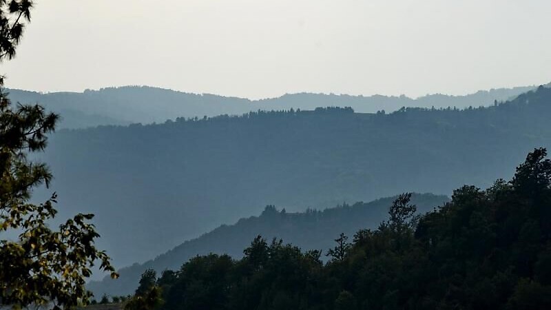 Zemljevid