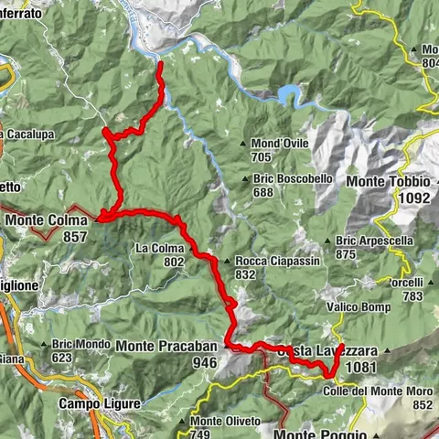Zemljevid