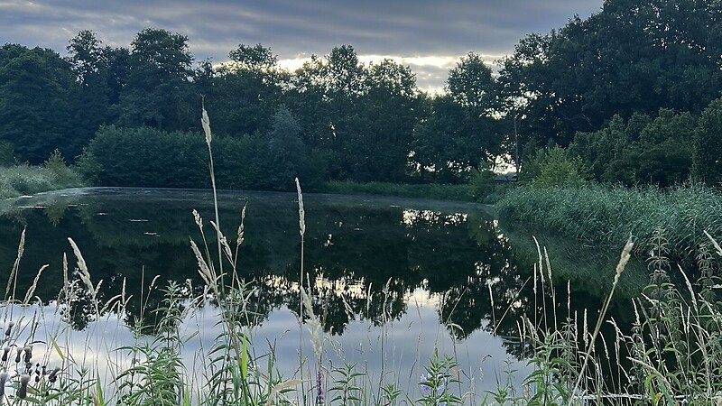 Zemljevid