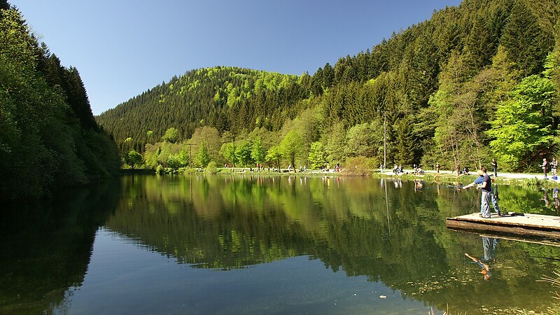 Zemljevid