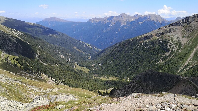 Zemljevid