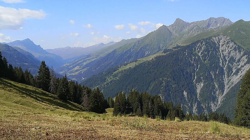 Zemljevid