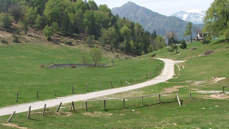 Zemljevid