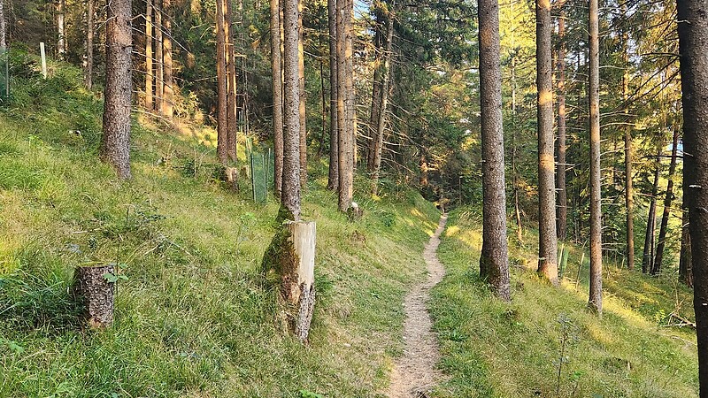 Zemljevid