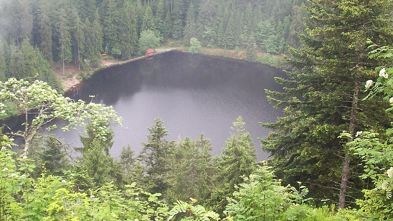 Zemljevid