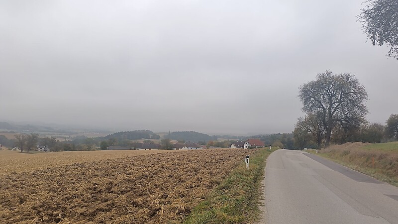 Zemljevid