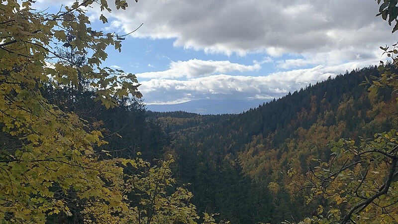 Zemljevid