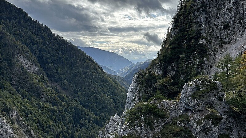 Zemljevid