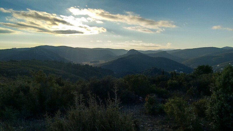 Zemljevid