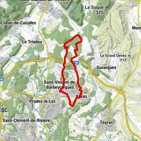 OENORANDO® BETWEEN GRÉS DE MONTPELLIER AND PIC SAINT-LOUP