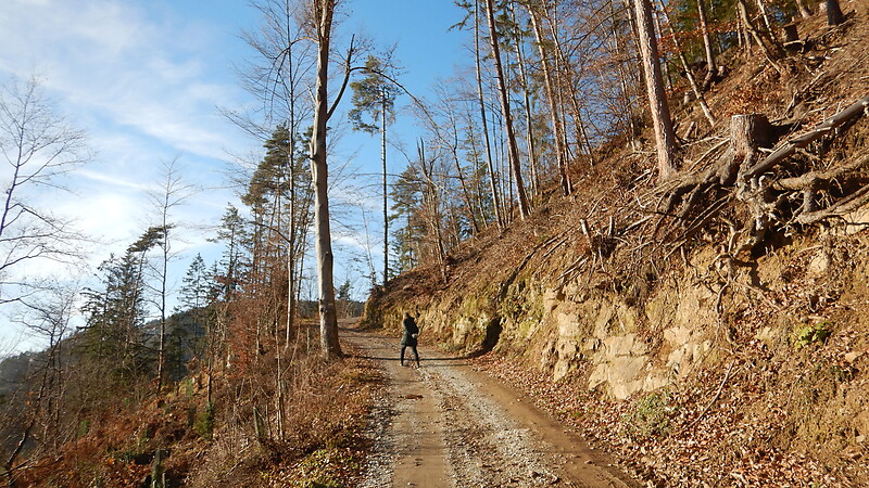 Zemljevid