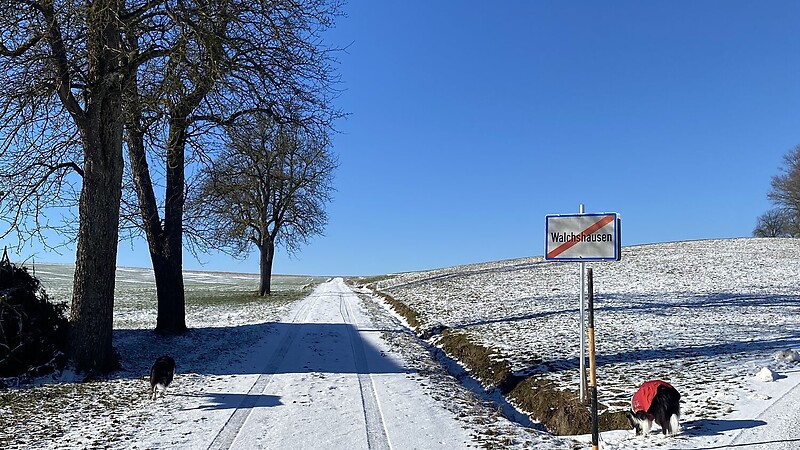 Zemljevid