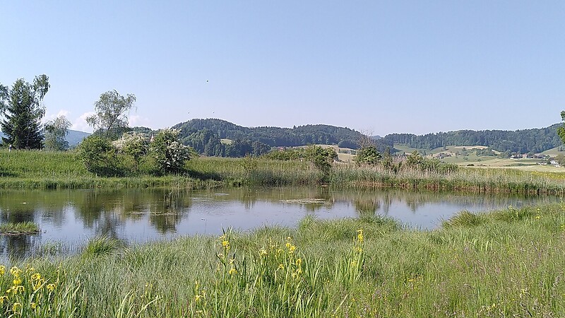 Zemljevid