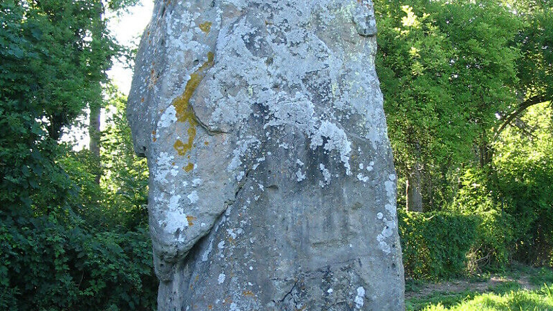 Zemljevid