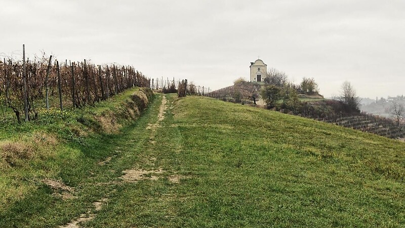Zemljevid