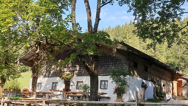 Zemljevid